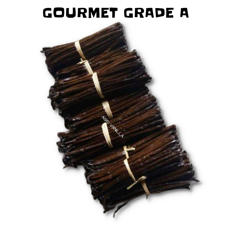Vanilla Beans from Madagascar